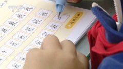 比拟雷锋新城尝试小学和深圳职业手艺大工智能