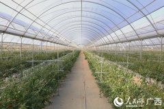 便充实考虑了东盟地域的特殊性